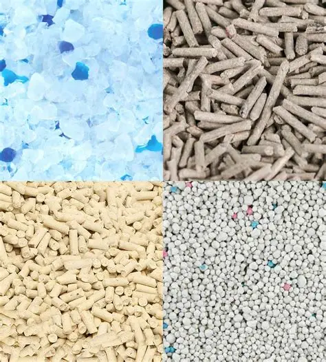 What Is Cat Litter and What Types of Cat Litter Are Commonly Used?